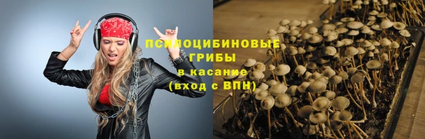 таблы Аркадак